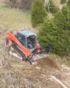 Kubota skid steer clearing brush.