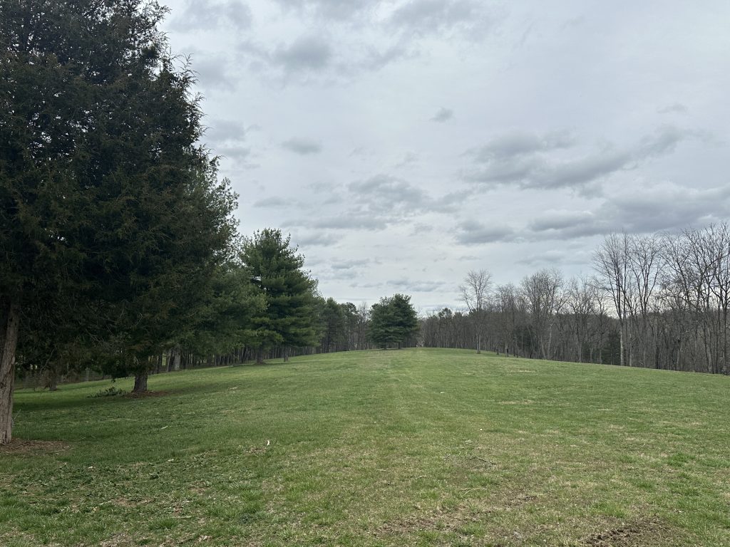 Green field with trees under cloudy sky.